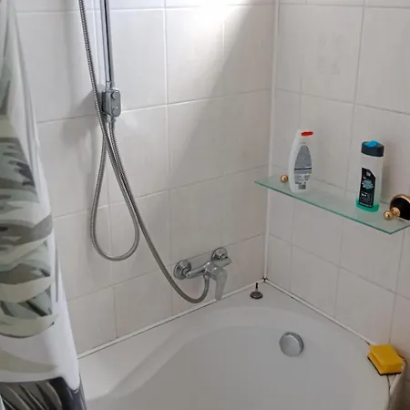 Dedecek 아파트 Horni Lipova